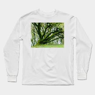 Green Moss Tree Long Sleeve T-Shirt